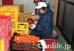 にんじんジュースの皮むきの様子２