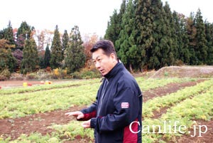 にんじんジュースのにんじんを収穫2