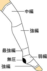 ギロファサポーターの着圧段階