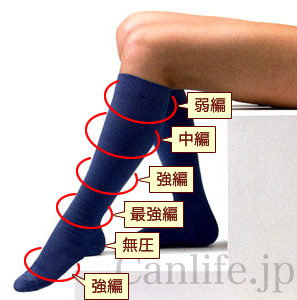 スタンダードソックスの強さ