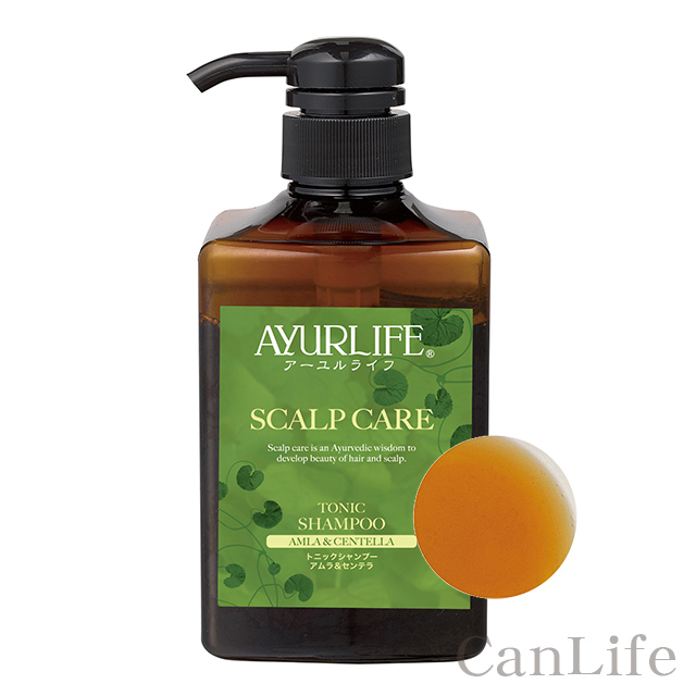 頭皮ケア　シャンプー（500mlポンプ ）アムラ＆センテラ