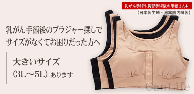 乳がん手術後のブラジャー探しで
サイズがなくてお困りだった方へ大きいサイズ（3L～5L）あります