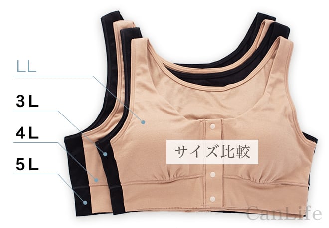 写真）平置き、サイズ比較写真