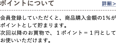 ポイントについて